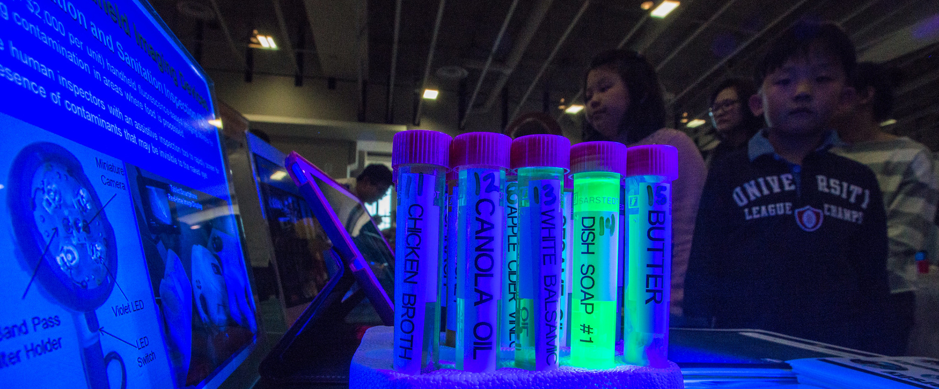 Students looking at a blacklight experiment 