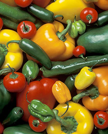 A variety of red, green and yellow peppers