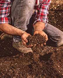 A person in a plaid shirt and jeans holding a handful of dirt 