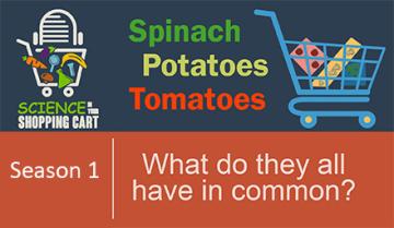 Season 1: Spinach, potatoes and tomatoes. What do they have in common?