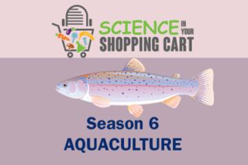 Season 6 aquaculture