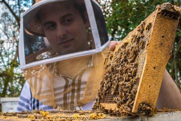 A beekeeper and a hive