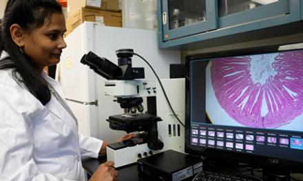 ARS research biologist Revathi Shanmugasundaram