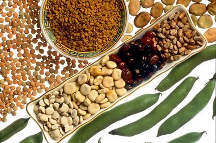 Pulses Legumes. Lentils, fenugreek seeds, fava beans, tepary beans, scarlet runner beans, lupini beans, tarwi beans, fava bean pods