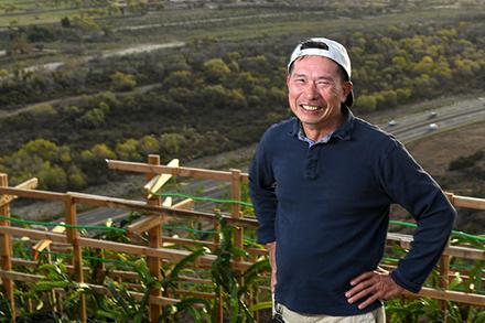 A farmer checking his dragon fruit plants.