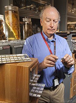 ARS nematologist David Chitwood examines slides in the USDA Nematode Collection.