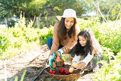 A mother and daughter picking vegetables 