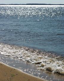 The Chesapeake Bay shoreline