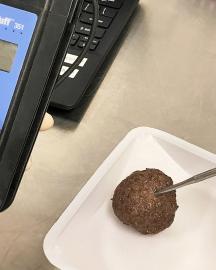 Meatballs image