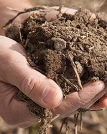 Two hands holding soil