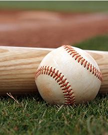 A baseball and a wooden bat laying on grass. 