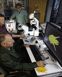 Scientists using a laser-scanning confocal microscope to make 3D images.