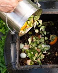 Compost image
