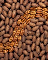 Shelled and unshelled pecans. 