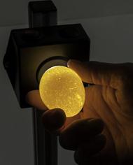 A hand holding an egg being candled