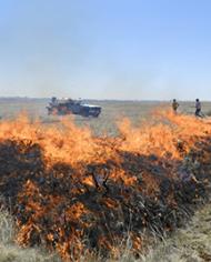 A prescribed burn