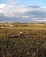 Rangeland