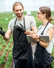 Two workers working with digital tablet walking in a greenhouse of growing plants.