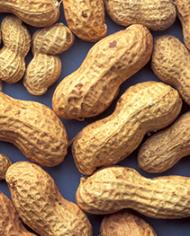 Peanuts in the shell 