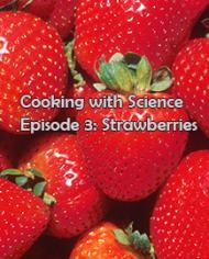 Cooking with Science Strawberries 