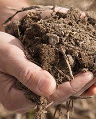 Two hands holding soil