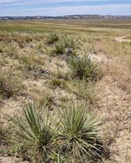 Southwestern landscape
