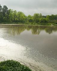 A pond