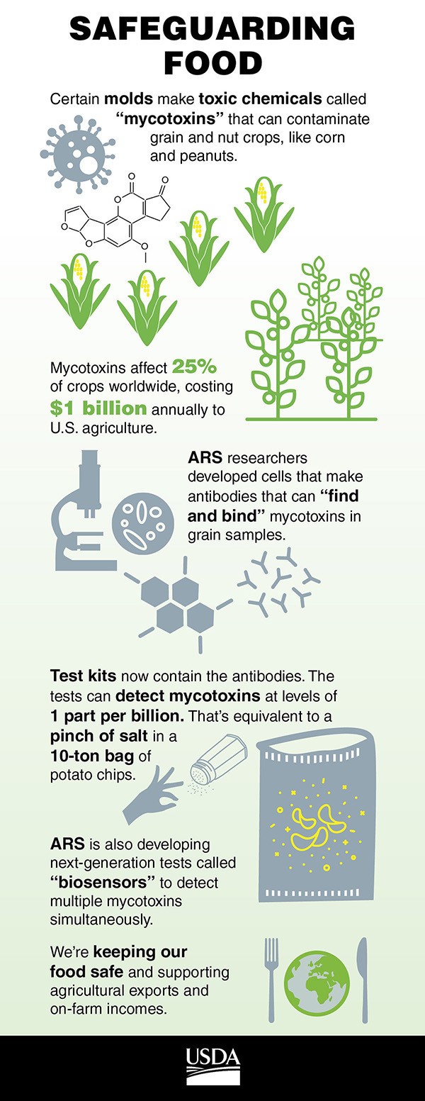 Biosensorinfographic image