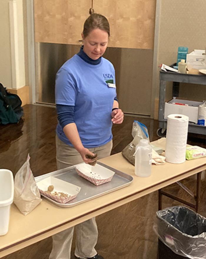 ARS Soil Scientist, Dr. Catherine Stewart is preparing soil samples.