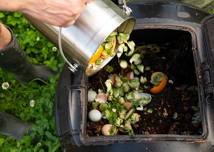 Compost Compost image