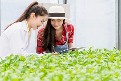 Gettyimagescrops Two women checking green plants growing in a greenhouse